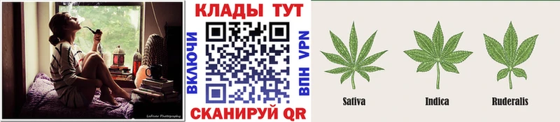 Наркотические вещества Новохопёрск Псилоцибиновые грибы  Каннабис  Амфетамин  Меф  ГАШИШ 