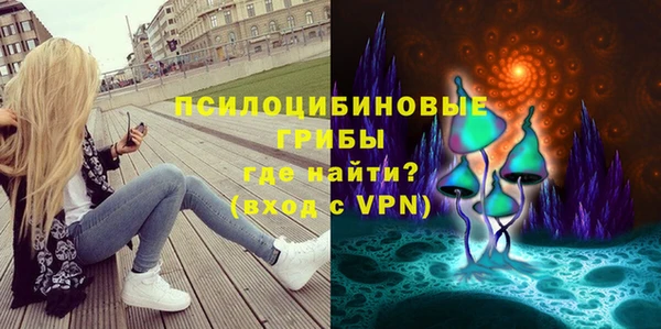молекула духа Верея