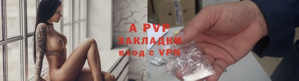 PSILOCYBIN Верхнеуральск