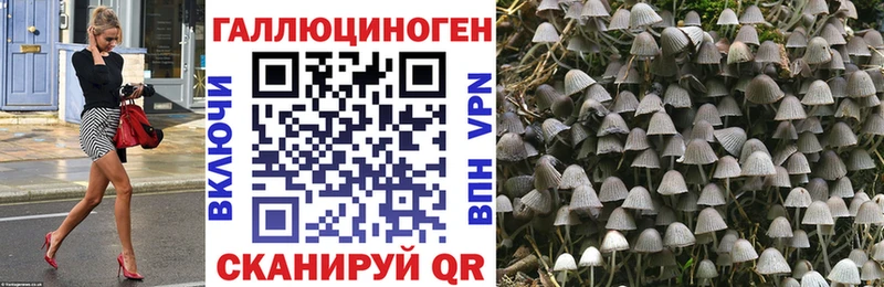 закладка  kraken ссылки  Галлюциногенные грибы GOLDEN TEACHER  Новохопёрск 